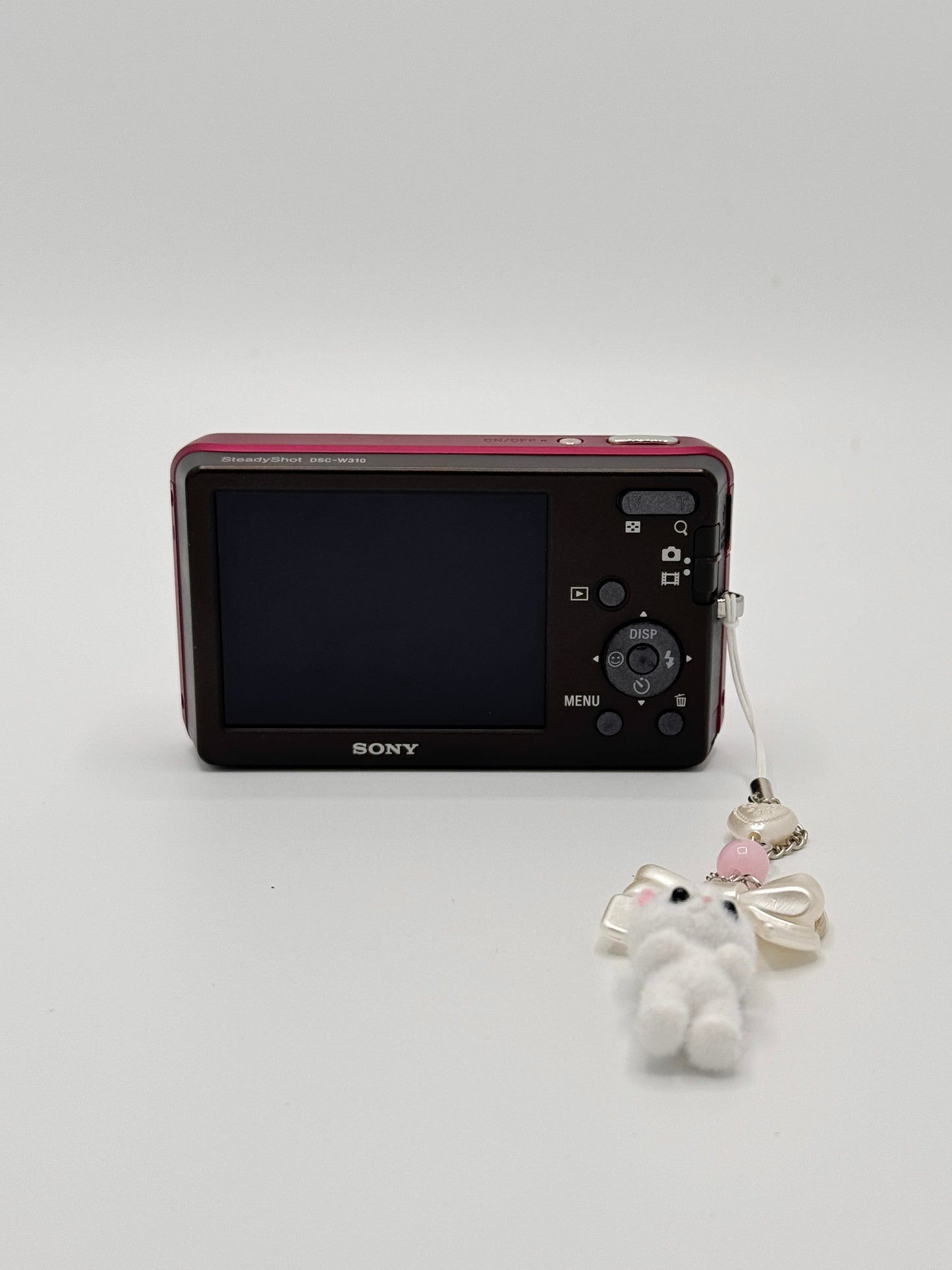 Sony Cybershot DSC-W310 | Digital Camera