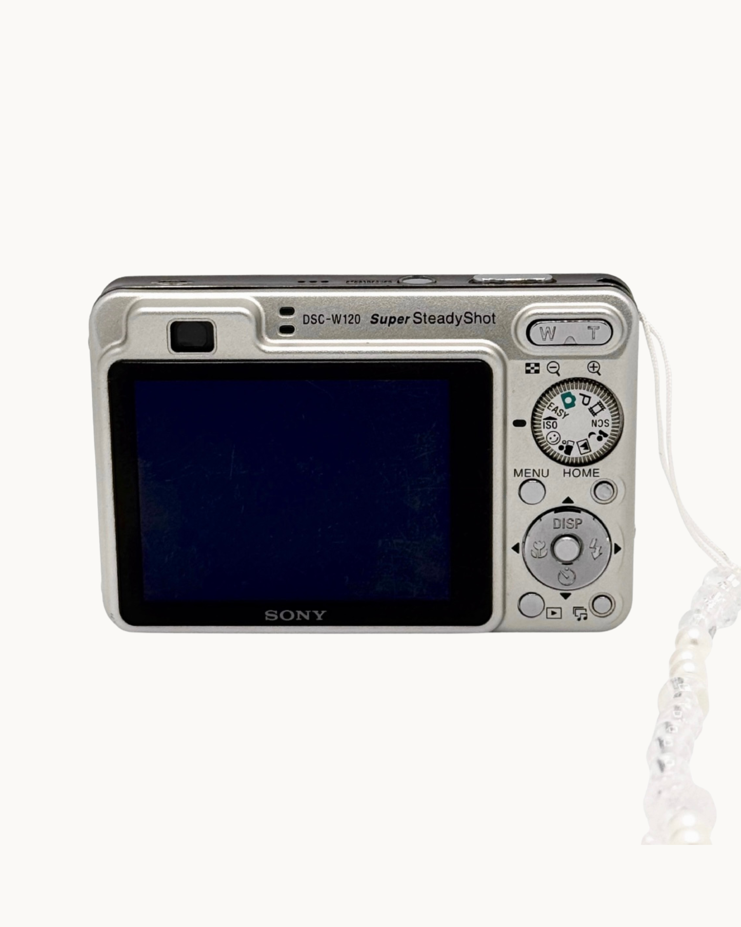 Sony Cybershot DSC-W170 Digital Camera