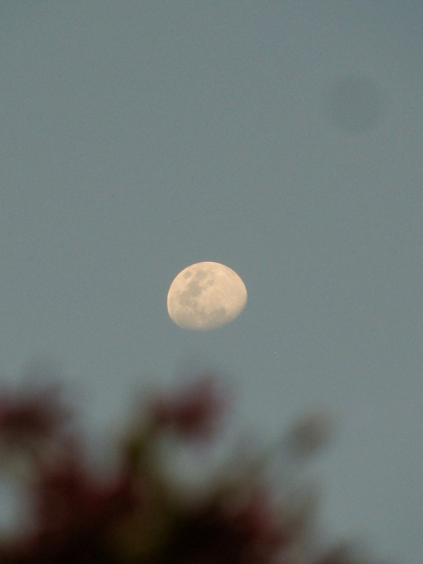 Canon SX160IS