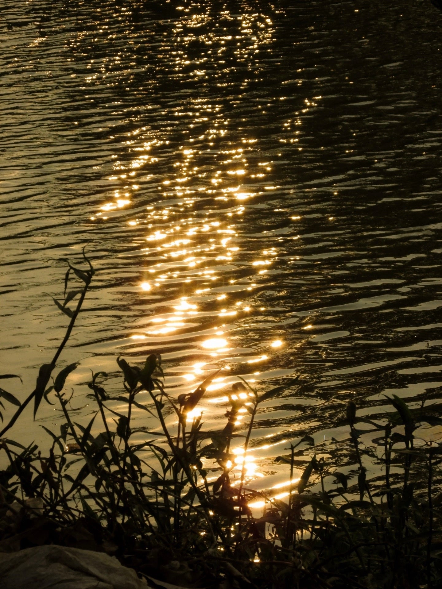 Canon SX160IS