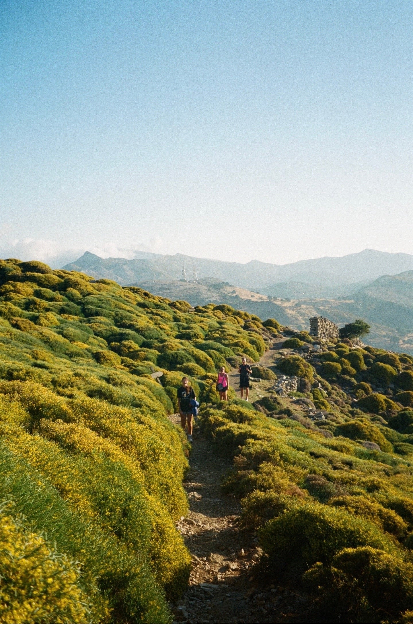 Olympus mju II Zoom 115 Analog Camera